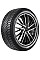 Winter Tyre Atlander Lander Studs ATL78 315/35 R20 106T atl2004