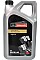 Motor oils for passenger cars