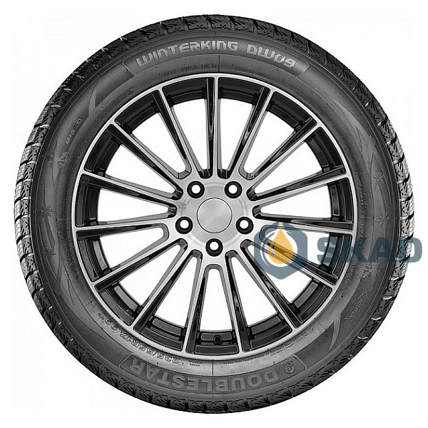 Winter Tyre Doublestar Winterking DW09 215/55 R18 95H dbl349