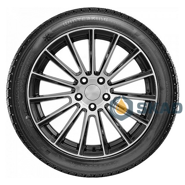 Winter Tyre Doublestar Winterking DW02 265/50 R19 110T XL dbl168