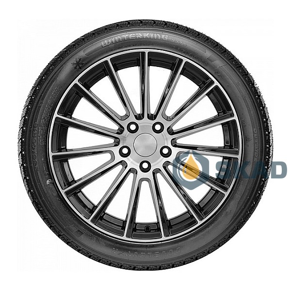 Зимние шины DOUBLESTAR Winterking DW02 235/55 R18 100S dbl26