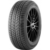 Doublestar Winterking DW09 215/45 R17 91H