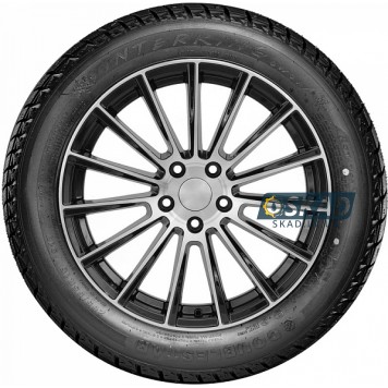 Doublestar Winterking DW01 225/75 R16 115/112Q зимняя шина-1