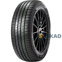 Doublestar Maximum DH08 205/60 R16 92H