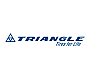 Triangle 050 333 19 31