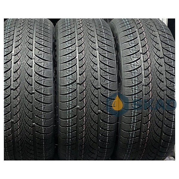 Winter Tyre Triangle WinterX TW401 195/60 R15 88T tnl848660