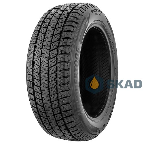 Bridgestone Blizzak DM-V3