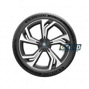 Michelin Pilot Sport EV 255/50 R21 109Y летняя шина-2