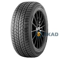 Doublestar Winterking DW09 215/55 R18 95H