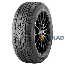 Doublestar Winterking DW09 215/45 R17 91H