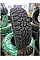 All season tires Double Coin Exploross X/T 265/65 R17 120/117S dc850945