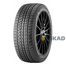 DOUBLESTAR Winterking DW02 255/45 R19 104T XL