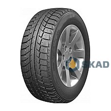 DOUBLESTAR Winterking DW07 205/70 R15 96T