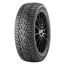 DOUBLESTAR Winterking DW01 205/65 R16 95T