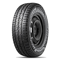 DOUBLESTAR Winterking DW06 235/65 R16C 115/113R