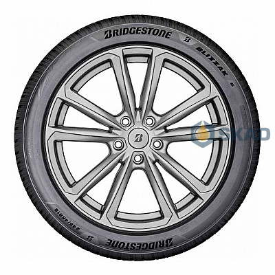 Зимние шины Bridgestone Blizzak 6 305/35 R21 109W XL brg1977