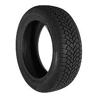 Double Coin DASP-PLUS 205/60 R16 96H XL