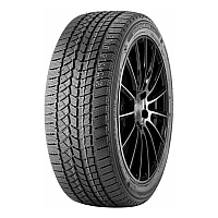 Doublestar Winterking DW02 265/50 R19 110T XL