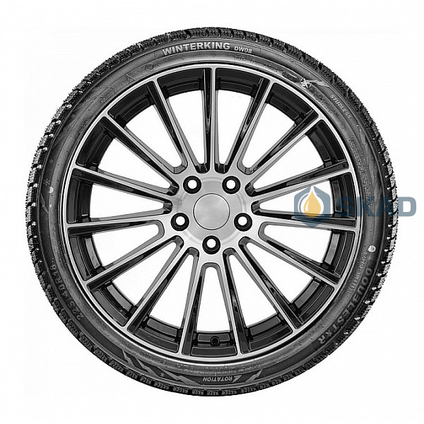 Зимние шины Doublestar Winterking DW08 175/65 R15 84T dbl342