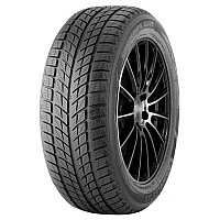 Doublestar Winterking DW09 215/45 R17 91H