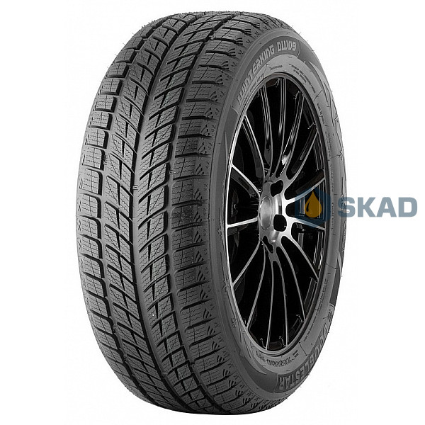 Зимние шины Doublestar Winterking DW09 215/45 R17 91H dbl348