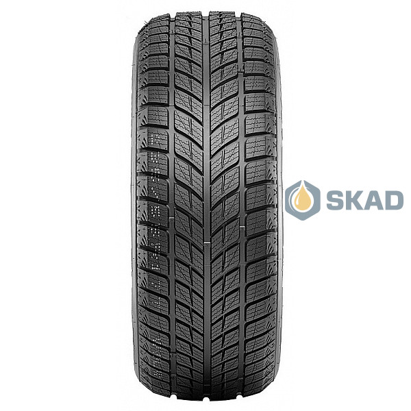 Зимние шины Doublestar Winterking DW09 215/45 R17 91H dbl348