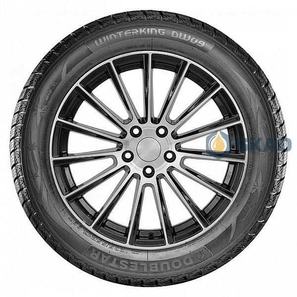 Зимние шины Doublestar Winterking DW09 215/45 R17 91H dbl348