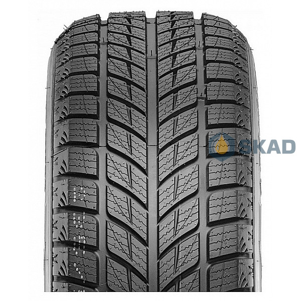 Зимние шины Doublestar Winterking DW09 215/45 R17 91H dbl348