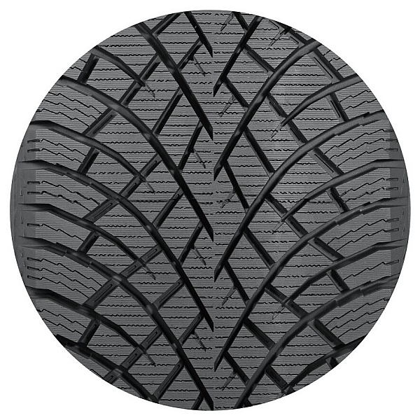 Зимові шини Nokian Hakkapeliitta R5 205/60 R16 96R XL T432150