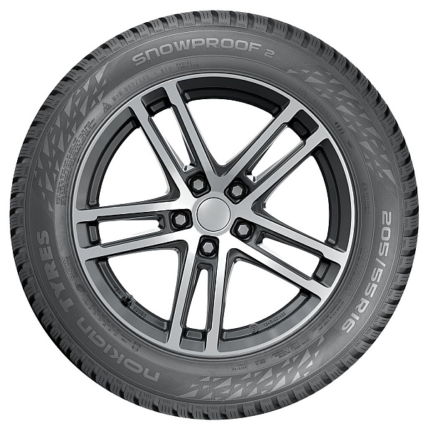 Зимние шины Nokian Snowproof 2 205/60 R16 96H XL T432825