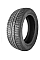 Зимові шини Warrior WR300 SUV 235/70 R16 106T ww853636
