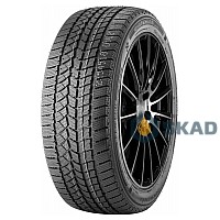 Doublestar Winterking DW02 265/50 R19 110T XL