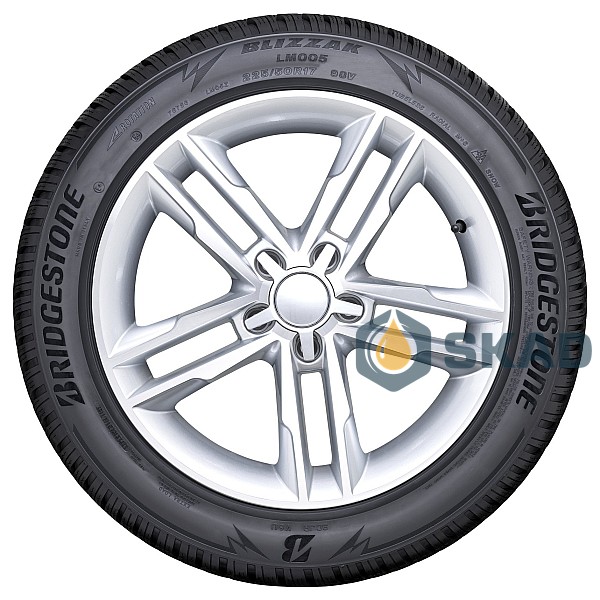 Зимние шины BRIDGESTONE Blizzak LM005 255/45 R20 101T AO brg1776