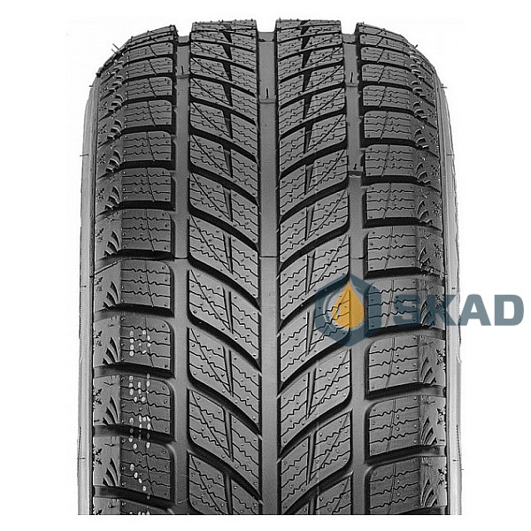 Winter Tyre Doublestar Winterking DW09 215/55 R18 95H dbl349