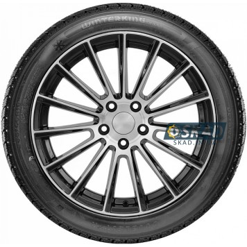 Doublestar Winterking DW02 255/50 R19 107T XL зимняя шина-1