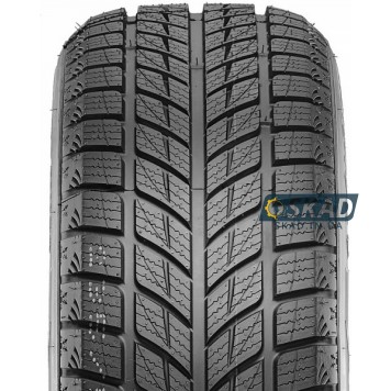 Doublestar Winterking DW09 235/55 R20 102H зимняя шина-3